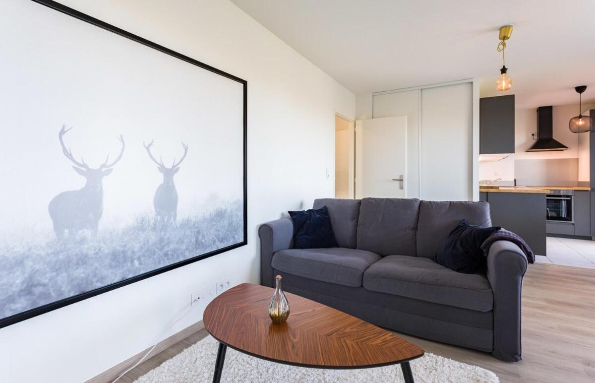 Le Rio, Appartement Avec Terrasse & Parking レンヌ エクステリア 写真